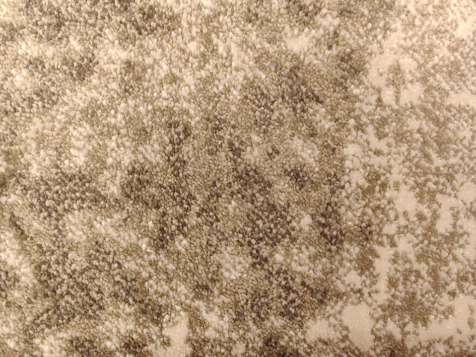 Ковер LEONI AUSTIN 160X230 0077-OJ8 J   ORIENTAL WEAVERS  