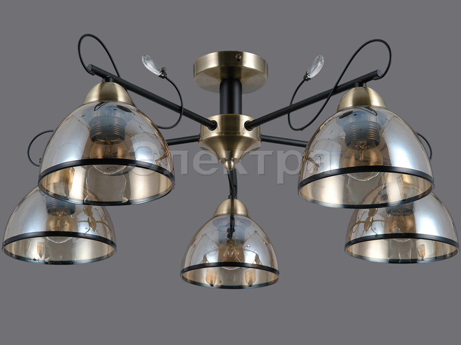 Светильник IL 0251-5CSQ-79 BK AB     ELEKTRA