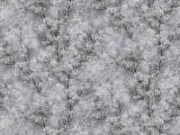 Обои 375421 1.06*10  АС  СС