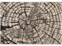 Ковер MASHAEL ROCAS 80X165 0364-Q04 Z   ORIENTAL WEAVERS  