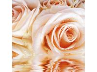 Фотообои НЕЖНАЯ РОЗА 294Х260 12   СС