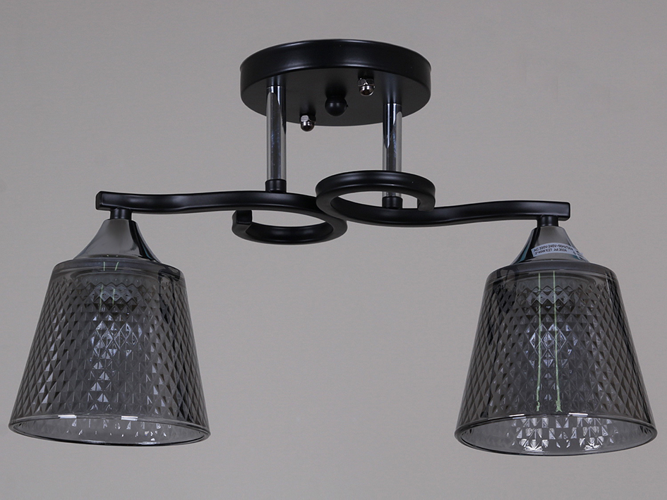 Светильник 06089-0.3-02  BK+CR    ELEKTRA