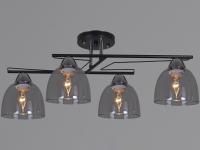 Светильник 06098-0.3-04  BK+CR    ELEKTRA