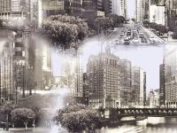 Обои 881-03  (12) СС