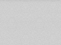 Обои SL71956-42 Sairi 1.06*10м (8)  ПАЛИТРА