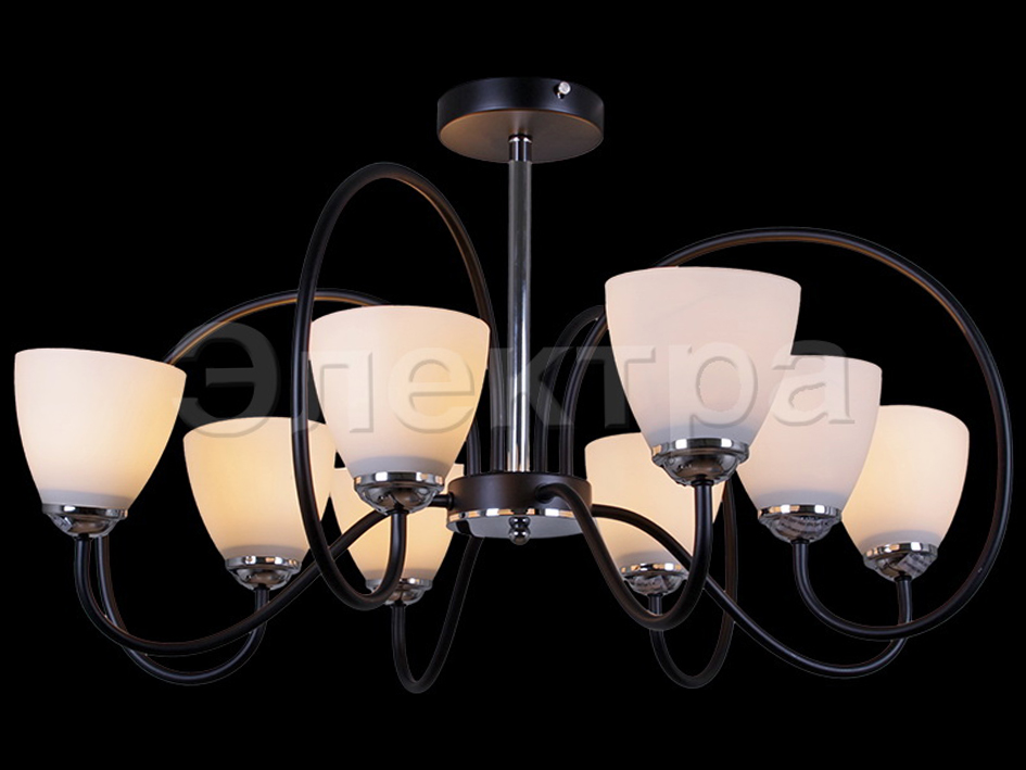 Светильник 01269-0.3-08 BK+CR     ELEKTRA