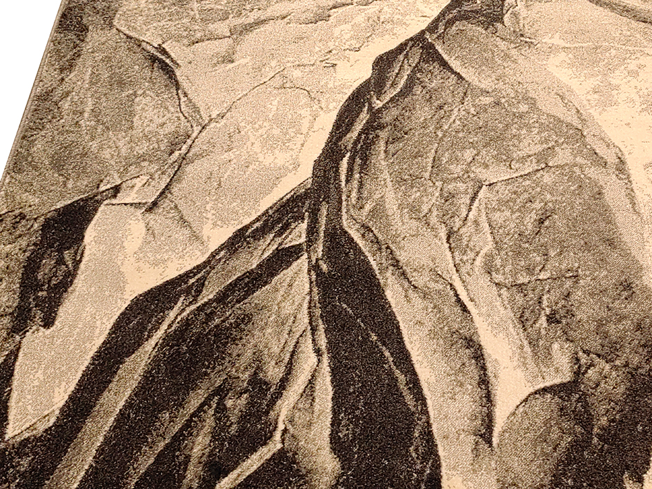 Ковер LEONI AUSTIN 160X230 1905-OJ8 V   ORIENTAL WEAVERS  