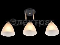 Светильник 01278-0.3-03 B BK+FGD     ELEKTRA