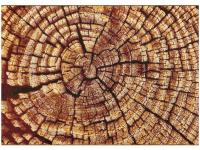 Ковер MASHAEL ROCAS 120X170 0364-Q03 X   ORIENTAL WEAVERS  