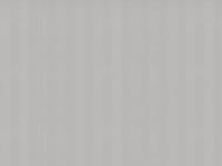 Обои SL71955-42 Sairi 1.06*10м (8)  ПАЛИТРА