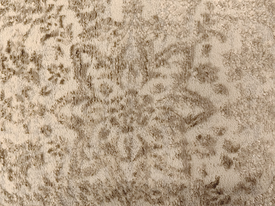 Ковер INFINITY SILK 200X290 05907A BEIGE   PREMIER HALI
