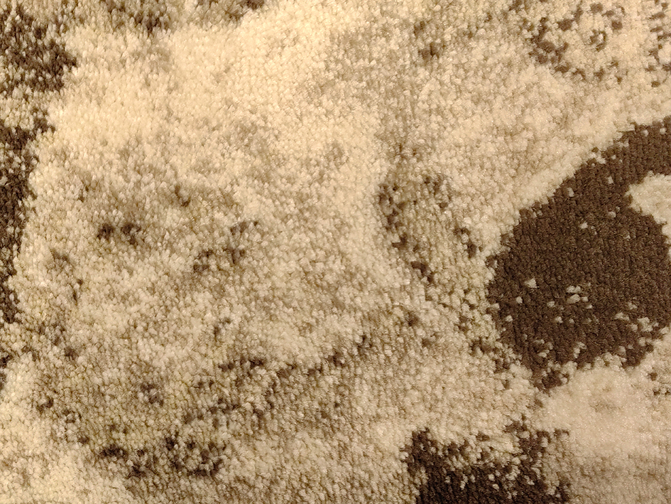 Ковер CALYPSO CARIBBEAN 160X235 0389-CI9 J   ORIENTAL WEAVERS  