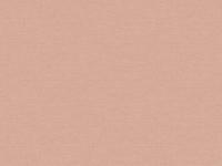 Обои 60465-04 AMAZONKA 1.06*10м  ERISMANN