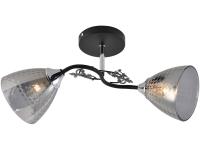 Светильник 01525-0.3-02 BK+CR     ELEKTRA