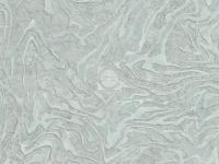 Обои 6294-6 АМАЗОНИЯ (12)  МОФ