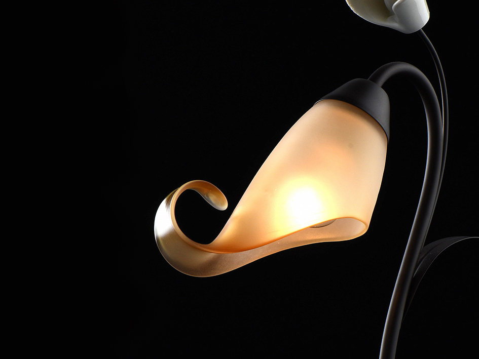 Настольная лампа  242037201 ВОСТОРГ  MW-LIGHT  ШТЕРН