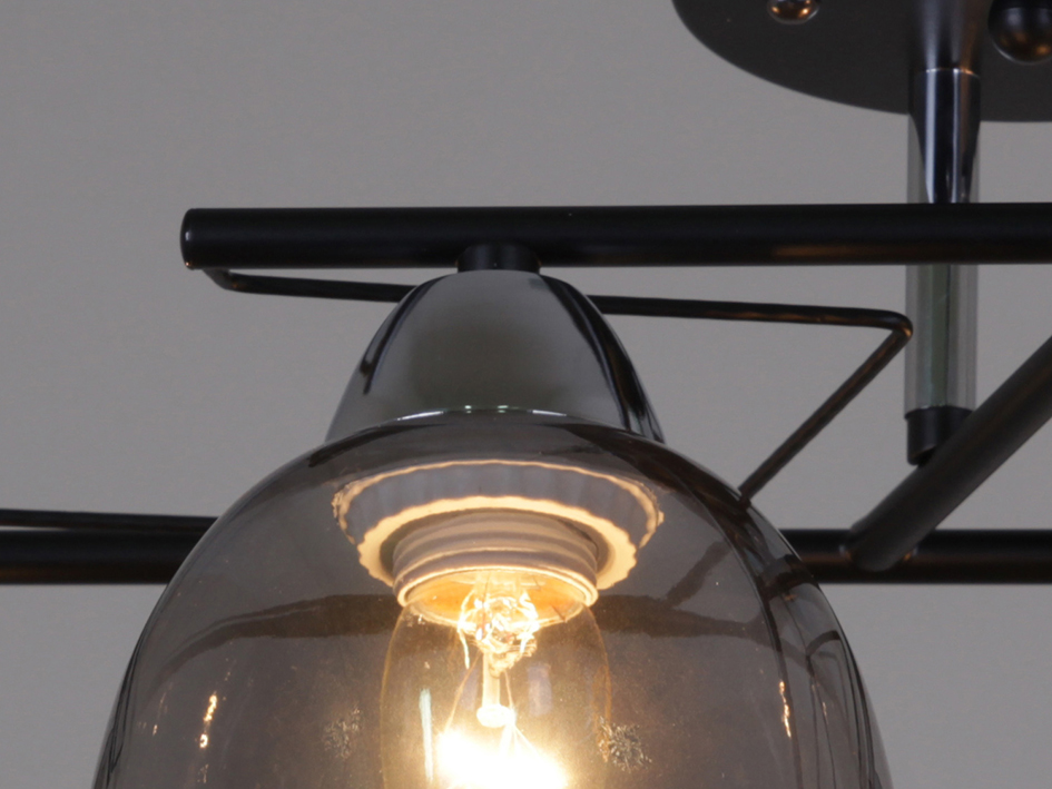 Светильник 06098-0.3-04  BK+CR    ELEKTRA