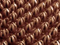 Щетинистое покрытие Коричневый    ComeForte (15) 