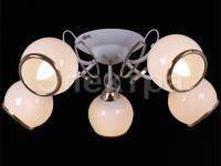 Светильник 22115-0.3-05 WTS+FGD      ELEKTRA