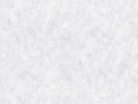 Обои 1862-21  (12) СС