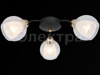 Светильник IL 7201-3CIN-79 BK GD     ELEKTRA