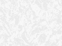 Обои 753-06 (12) СС