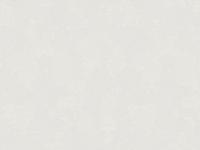 Обои 60731-04 SILK 1.06*10м  ERISMANN