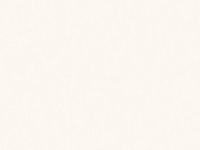 Обои 60588-02 BASIC 1.06*10м  ERISMANN