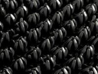 Щетинистое покрытие Черный ComeForte  (15)