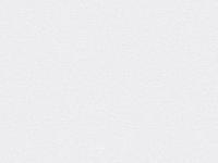 Обои 60620-03 SPECTRAL COLOR 1.06*10м  ERISMANN