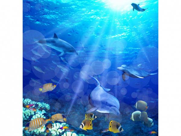 shtora_dlya_vanny_morskoe_dno_fotopechat_02-09_brimix_sanaks