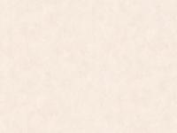 Обои VV72094-25 1.06*10м (8)  VOG