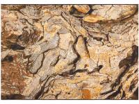 Ковер MASHAEL ROCAS 80X165 0365-Q01 X   ORIENTAL WEAVERS  