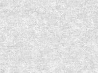 Обои 168520-10 1.06*10  SOLO