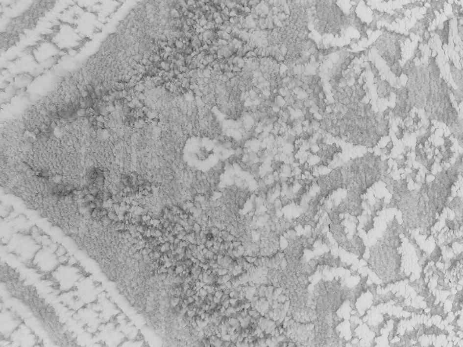 Ковер INFINITY SILK 70X120 05902A GREY   PREMIER HALI