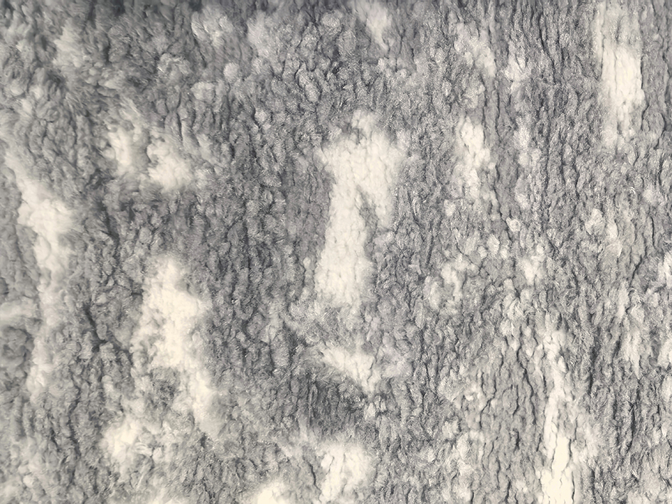 Ковер TITANIUM 57X90 62060-ZE7 L   ORIENTAL WEAVERS  