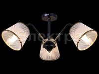 Светильник IL 0344-3CSQ-29 BK AB     ELEKTRA