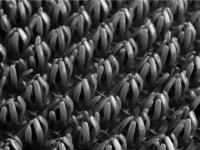 Щетинистое покрытие Мокрый асфальт   ComeForte (15)  