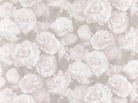 Обои 375573 1.06м (6) СС