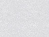 Обои 12163-10 ELLE 1.06*10м  ERISMANN