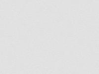 Обои 60620-11 SPECTRAL COLOR 1.06*10м  ERISMANN