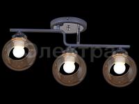 Светильник 32317-0.3-03       ELEKTRA