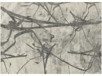 Ковер HERMES 200X290 11214C GREY   PREMIER HALI