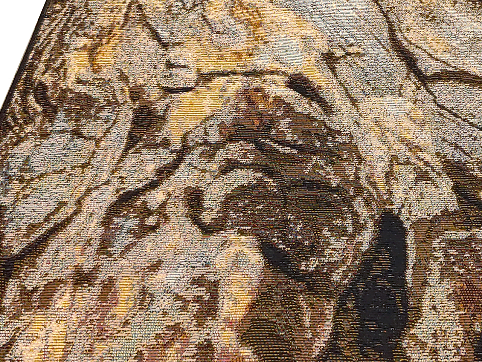 Ковер MASHAEL ROCAS 80X120 0365-Q01 X   ORIENTAL WEAVERS  