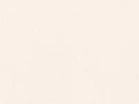 Обои SP71992-15 Avangard 1.06*10м (6)  ПАЛИТРА