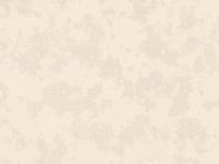 Обои PC72091-22 1.06*10м (6)  VOG