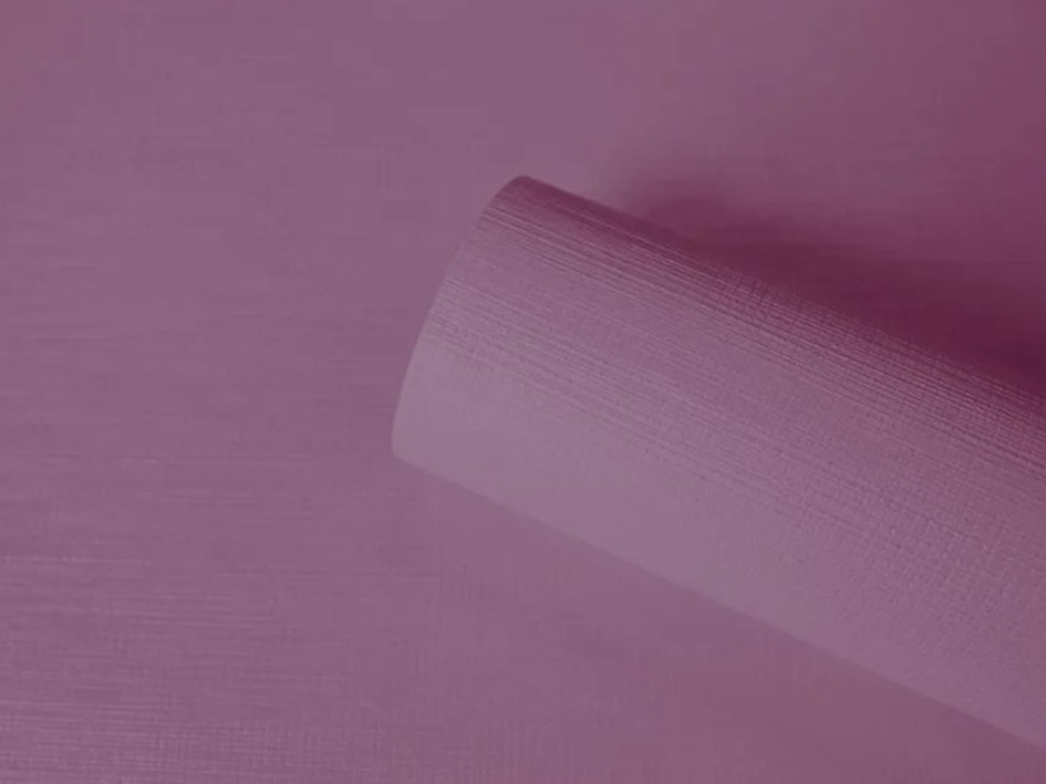 Обои 60617-05 MEDEMOISELLE 1.06*10м  ERISMANN