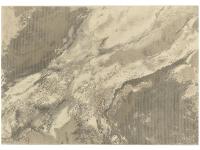 Ковер ELEGANT 160X230 EL104 CREAM SILVER  FDS OZ KAPLAN 