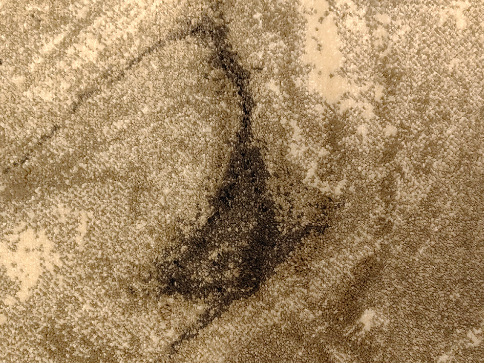 Ковер LEONI AUSTIN 160X230 2164-OJ8 N   ORIENTAL WEAVERS  