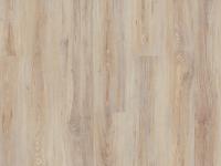 5236_dub_grenlandskiy